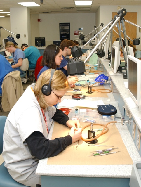 Row of students at a lab bench doing an experiment utilizing bunsen buners